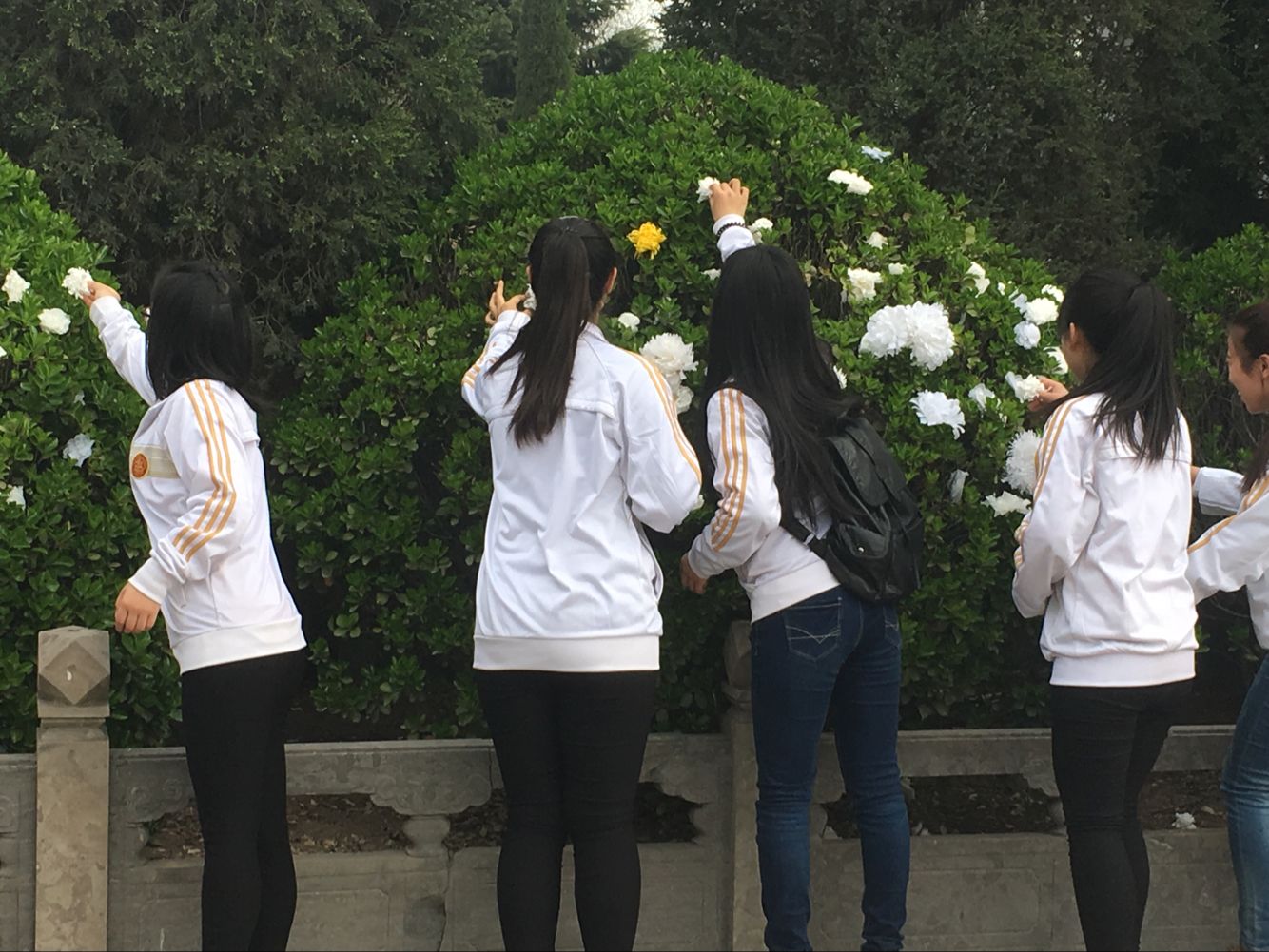 同学们正在献花